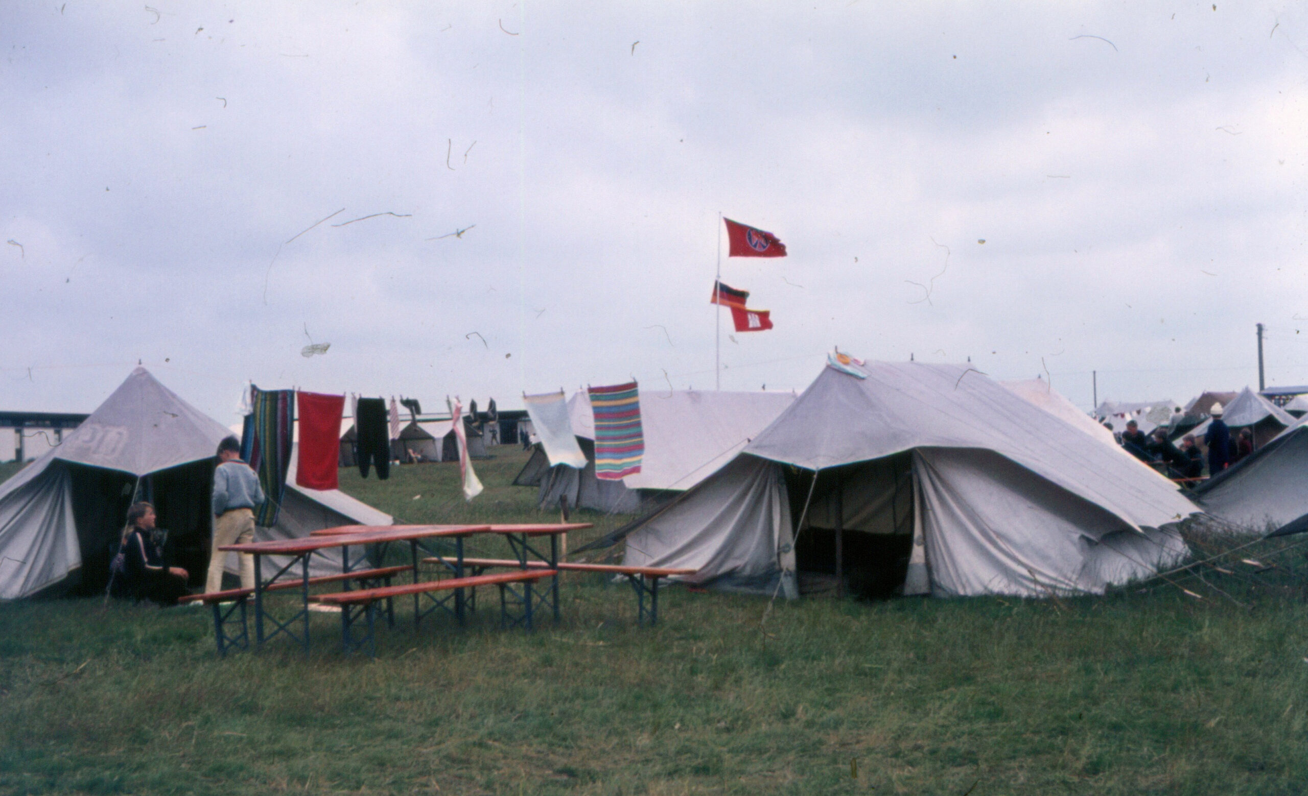 08.JPG